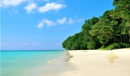 Andaman Island Escape